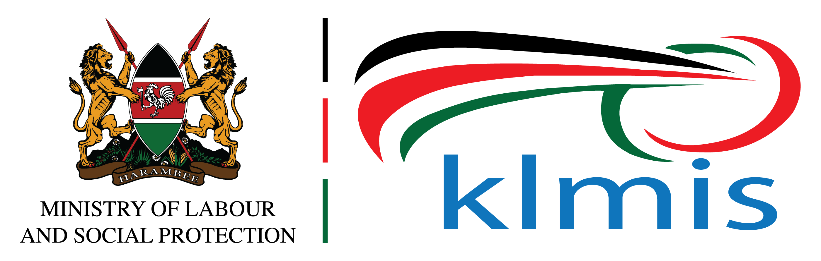 Best Software Developer and Consultant in Kenya